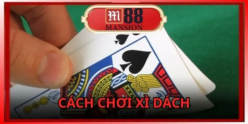 Cách Chơi Xì Dách