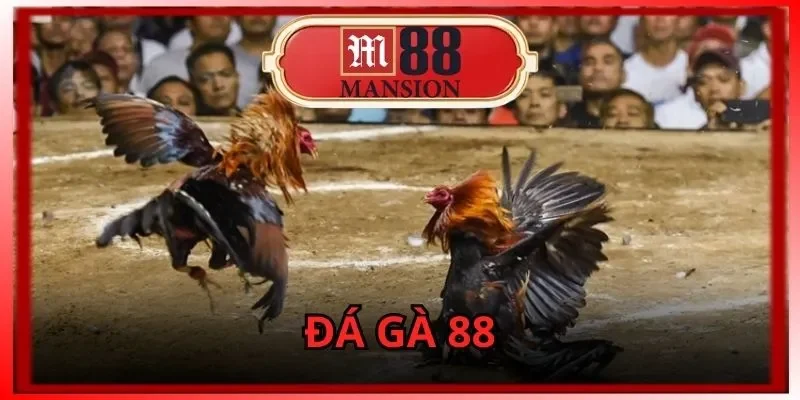 Đá Gà 88