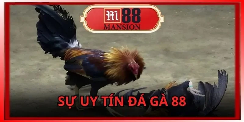 đá gà 88