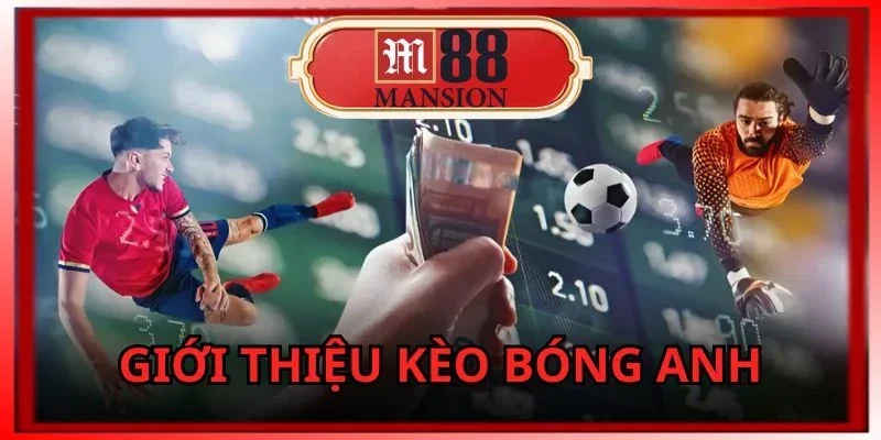 hieu-ro-khai-niem-ve-dong-keo-bong-anh-m88