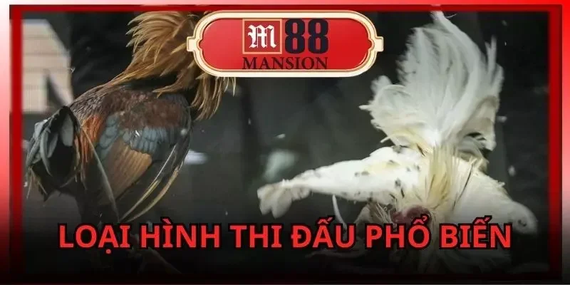 m88-da-ga-c1-dua-theo-quy-tac-phan-loai-bong-da