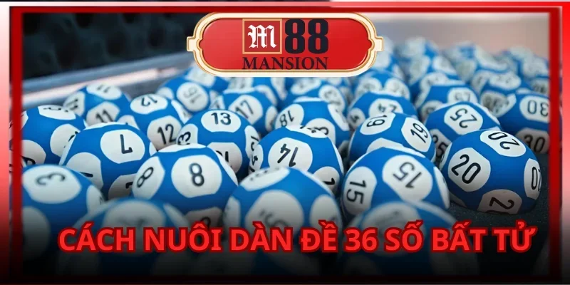 m88-dan-de-36-so-bat-tu-bi-quyet-nuoi