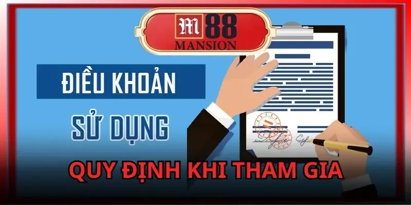 điều khoản điều kiện