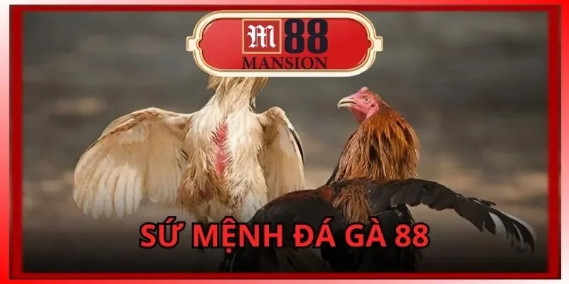 đá gà 88
